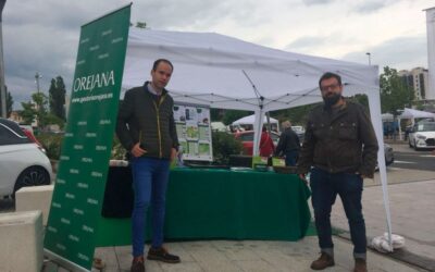 FERIA DEL AUTOMOVIL